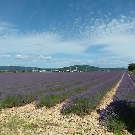 Notre Vie La Bed & Breakfast Roussas Luaran gambar